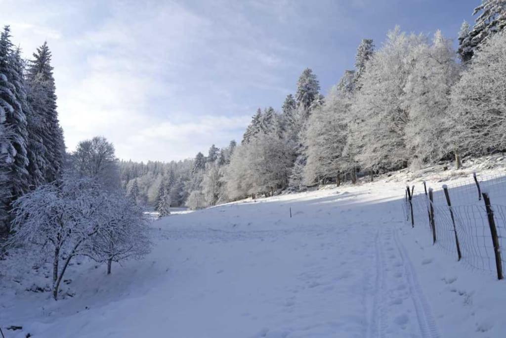 Gite Hansel De La Ferme Du Schneeberg Wangenbourg-Engenthal Exterior photo